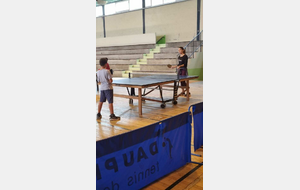 68bdccc483186_Pingvirtuel6.jpg