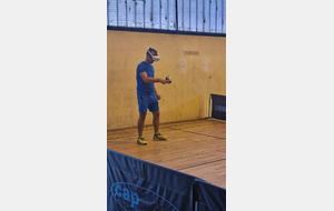 68bdccc552eea_Pingvirtuel4.jpg
