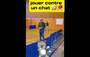 Mini tournoi et initiation Ping virtuel 26/10/2024