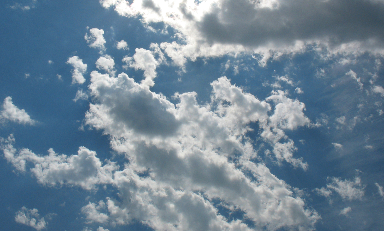 Journée portes ouvertes – Tennis de table pour tous