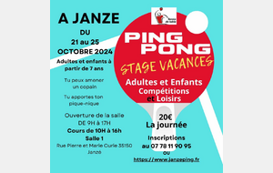 Ping-pong Stage Vacances